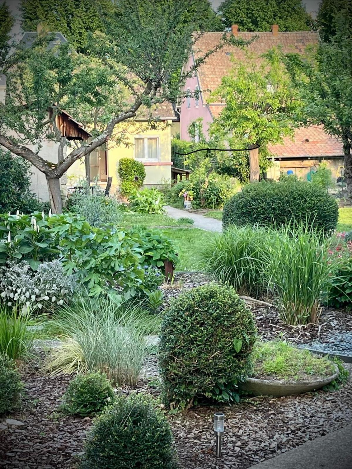 Le Beethoven Villa Colmar Eksteriør billede